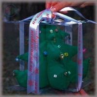 Box 200*200*200 mm (plastic cube) Box 200*200*200 mm (plastic cube)