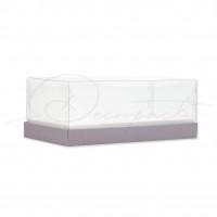 Box 250*120*90 mm with a transparent dome cover