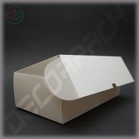 Box 300*160*90 mm with a hinged lid