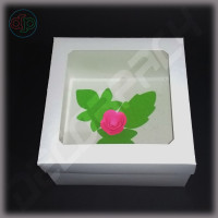Box 200*200*100 mm