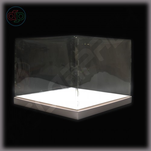 Коробка 250*250*120 мм с прозрачной крышкой-купол